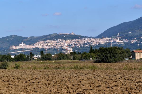 Agriturismo Bellarosa Ασίζη Εξωτερικό φωτογραφία