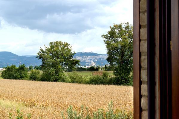 Agriturismo Bellarosa Ασίζη Εξωτερικό φωτογραφία